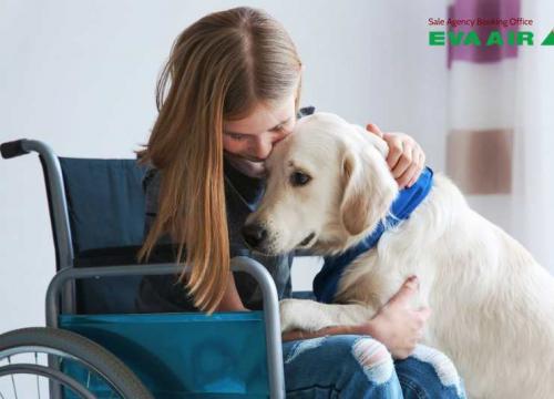 Dịch vụ hỗ trợ người khuyết tật EVA Air có gì? Đặt thế nào?